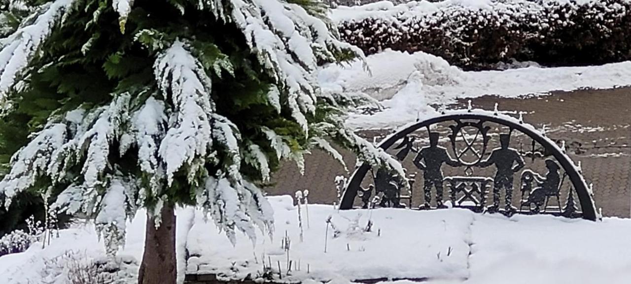 Fewo Harz Haennig 1 Wieda Kültér fotó