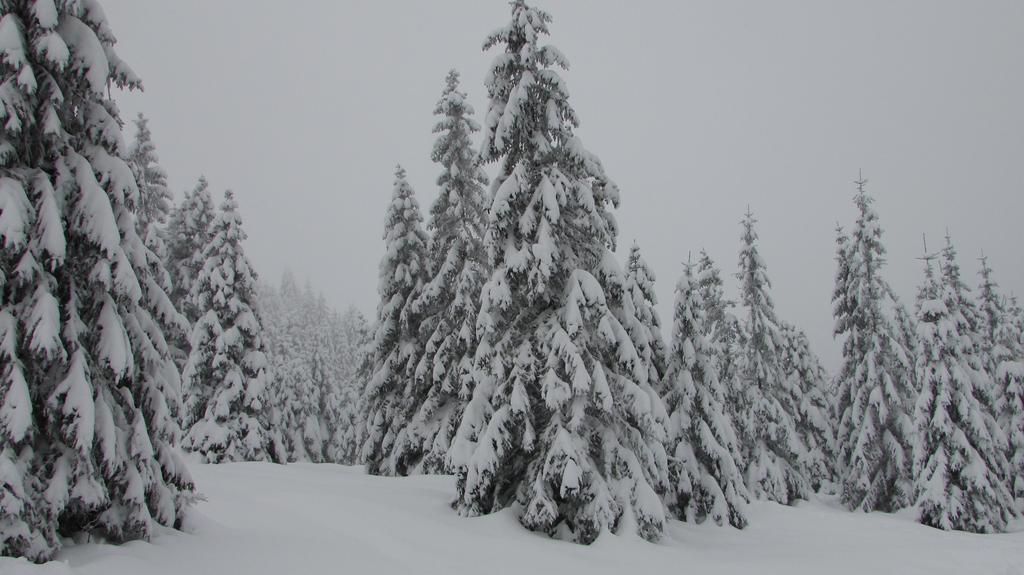 Fewo Harz Haennig 1 Wieda Kültér fotó